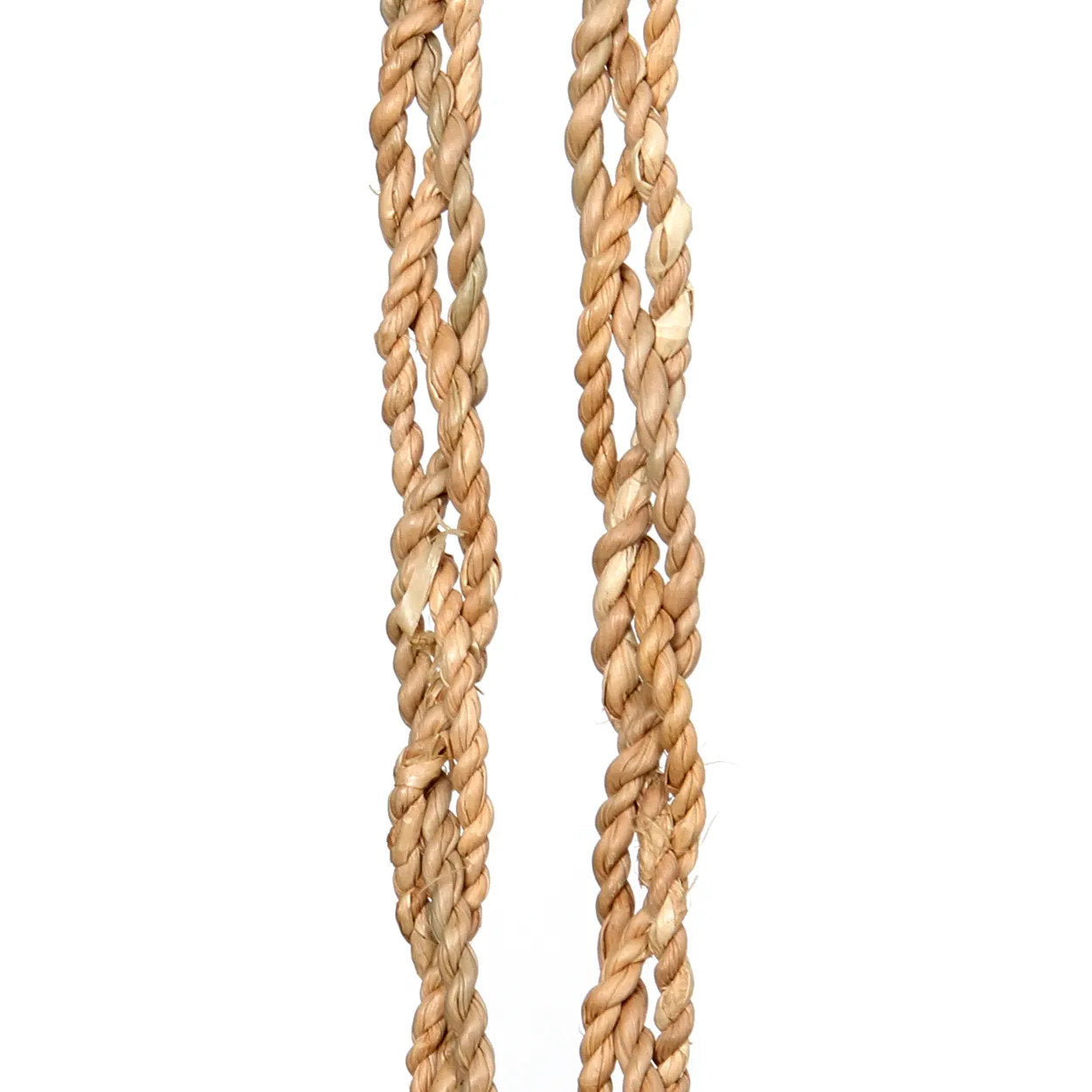 De Vanille Schelp Kwast - Afbeelding 3