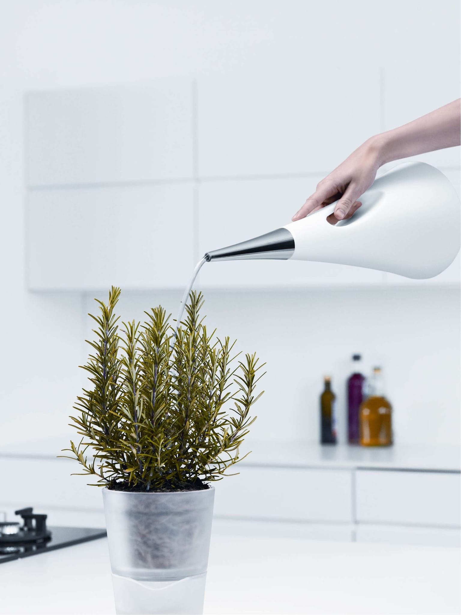 AquaStar Gieter 2 liter - Afbeelding 3